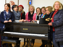 actividades culturais